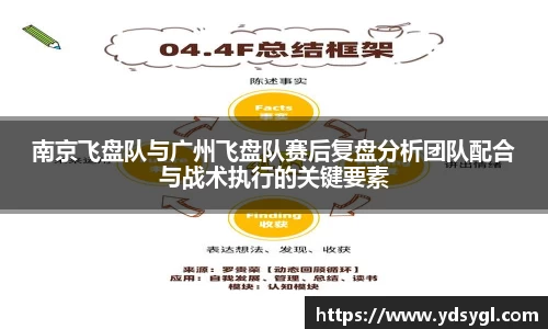 南京飞盘队与广州飞盘队赛后复盘分析团队配合与战术执行的关键要素